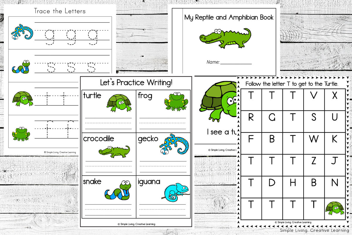 Reptiles And Amphibians Printables - Simple Living. Creative Learning pertaining to Free Printable Reptile Worksheets