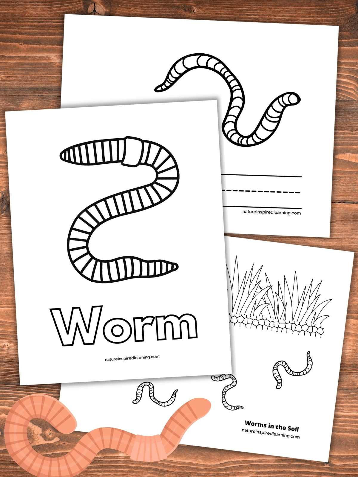 Wiggly Worm Coloring Pages - Nature Inspired Learning inside Free Printable Worm Worksheets