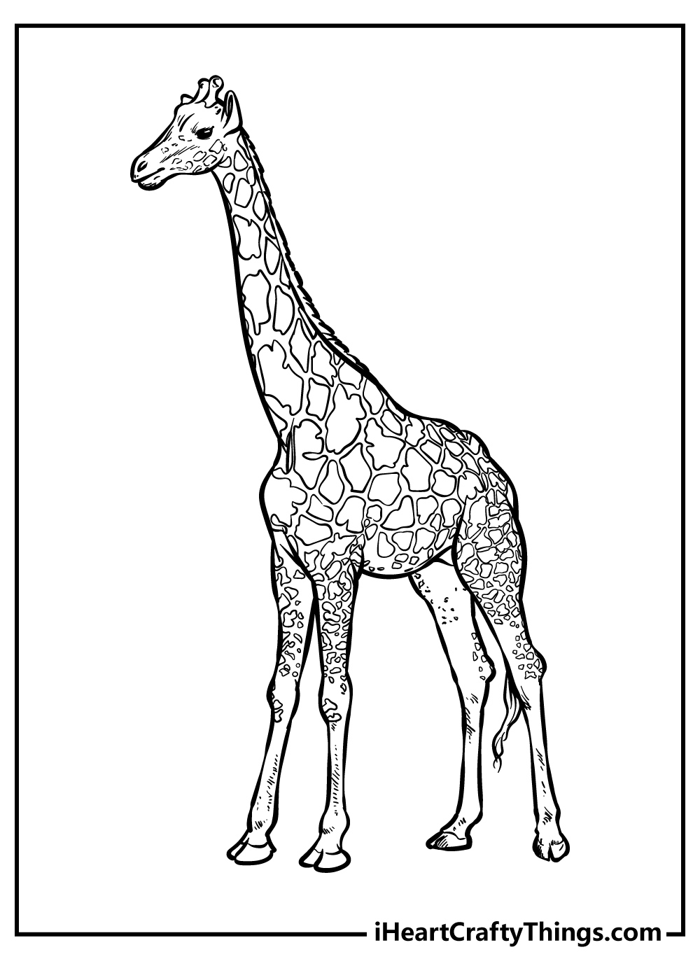 Zoo Animals Coloring Pages (100% Free Printables) inside Free Printable Pictures of Zoo Animals