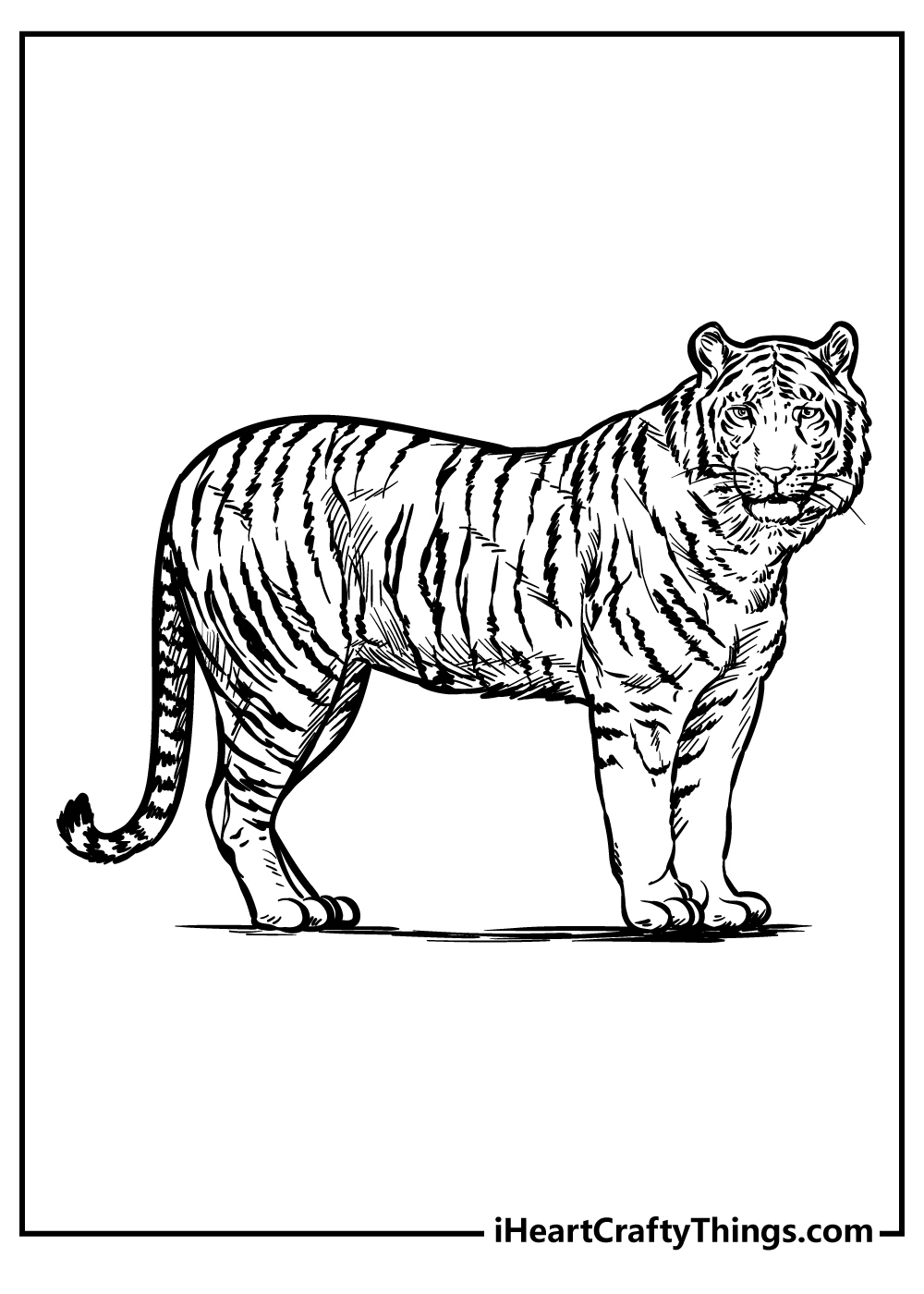 Zoo Animals Coloring Pages (100% Free Printables) throughout Free Printable Pictures Of Zoo Animals